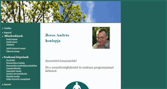 Desktop Screenshot of borosandras.hu